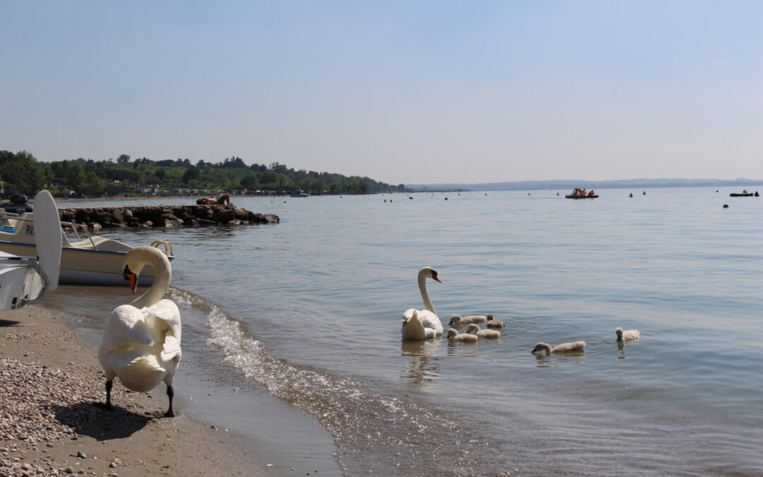 Gardasee –  Riva del Garda